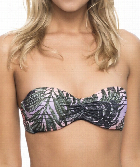 Sunset Palms Underwir E Push Up Bikini Top Color: Black Size: M