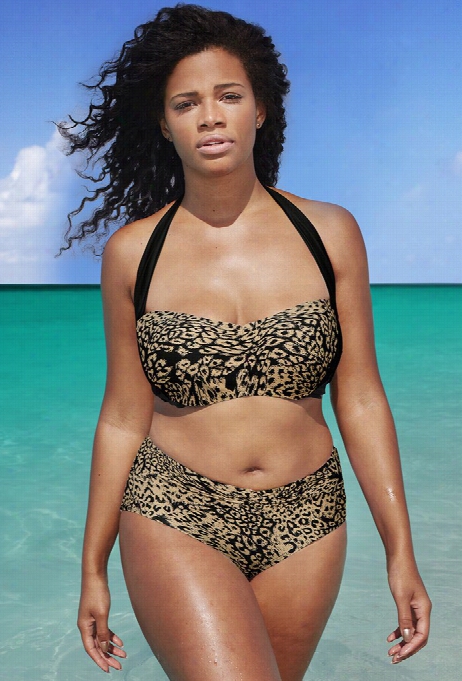 Swim Sexy The Bombshell Cheetah Bikini
