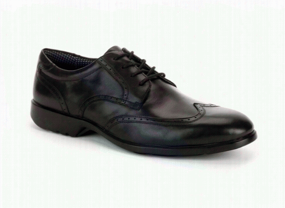 Total Motion Wingtip