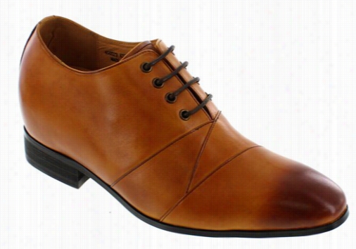 Calen - K3230412 -  2.6 Inches Talle (rust Brown)