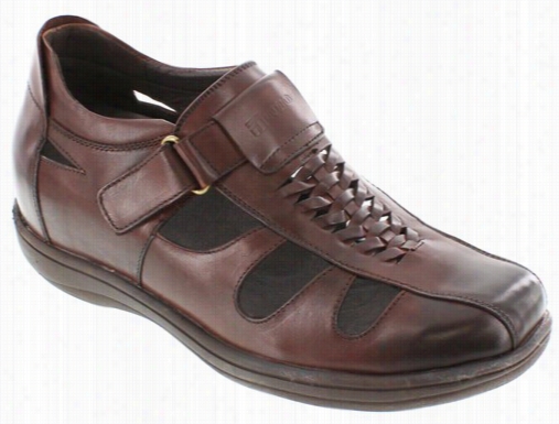 Toto - G13072 - 3.2 Ihches Taller (cordovan Dark Brown) Braided Sandals - Super Ilghtweight